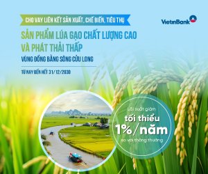 vietinbank-1-tuan