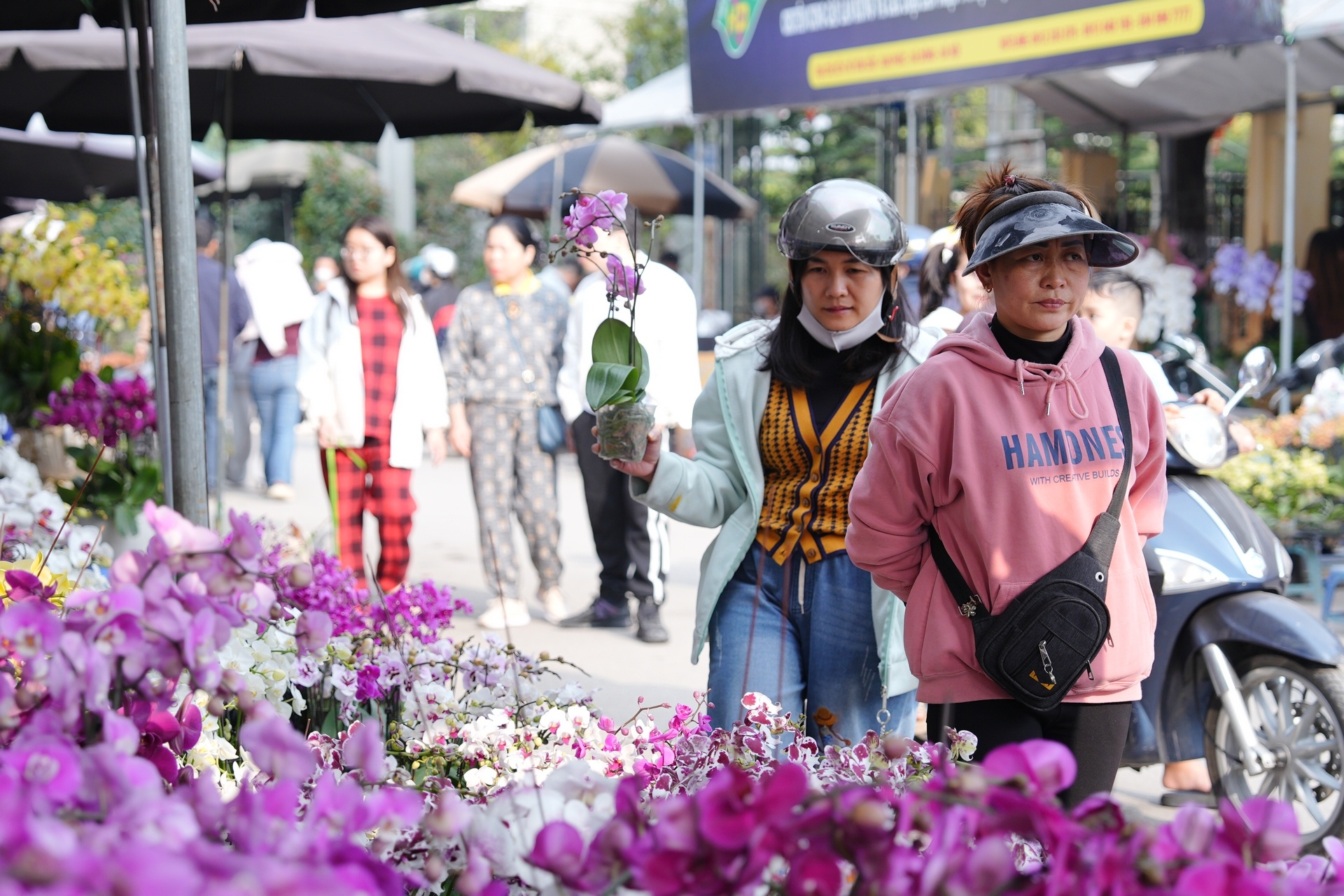 Chợ hoa xuân nhộn nhịp những ngày cận Tết Chợ hoa xuân nhộn nhịp những ngày cận Tết