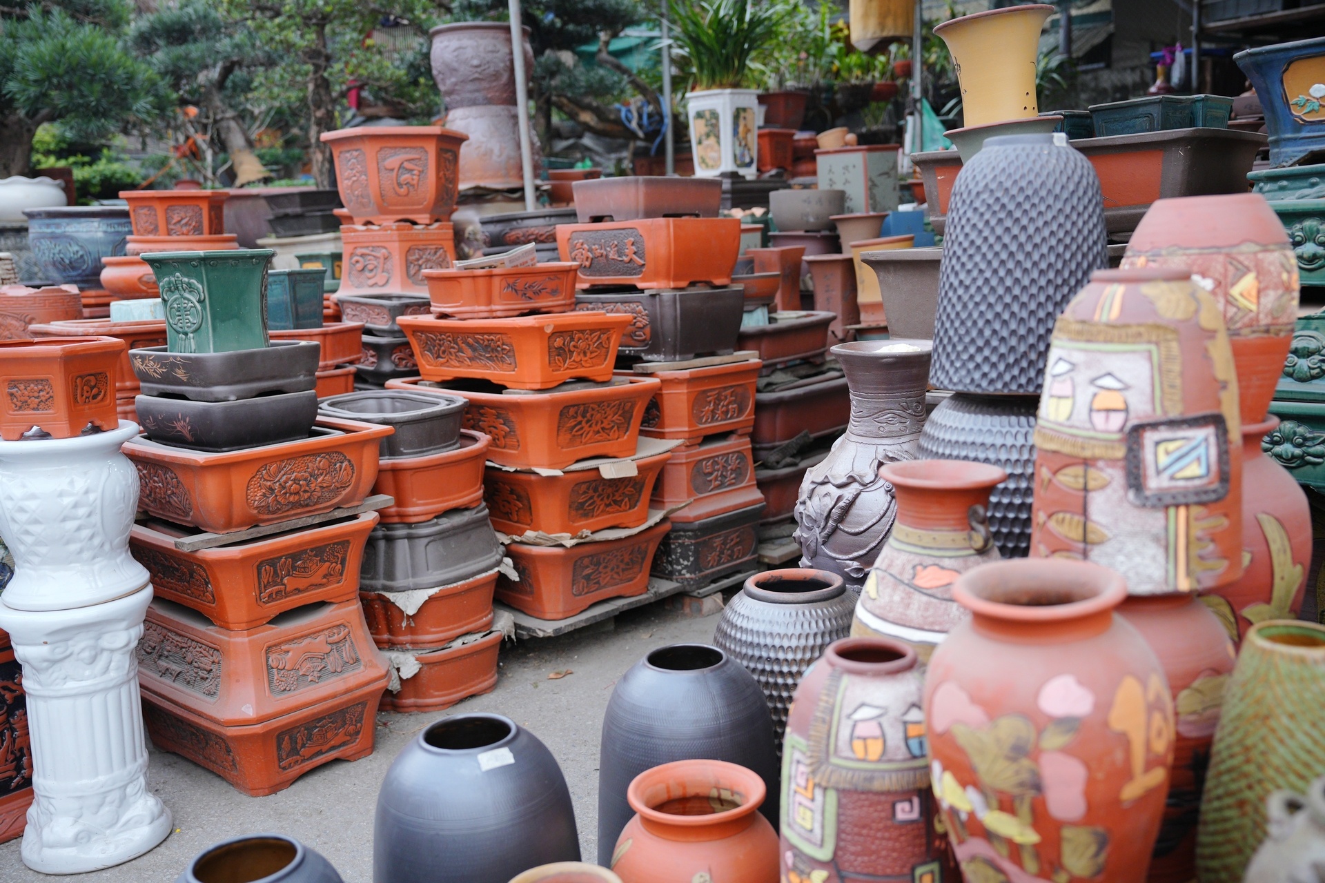 Chợ hoa xuân nhộn nhịp những ngày cận Tết Chợ hoa xuân nhộn nhịp những ngày cận Tết