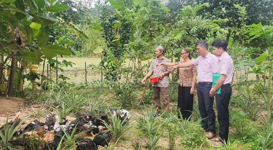 Quảng Ngãi đẩy mạnh ủy thác cho vay tín dụng chính sách