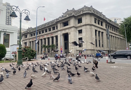 TP. Hồ Chí Minh: Ngân hàng Nhà nước xếp thứ hạng cao về năng lực cạnh tranh địa phương