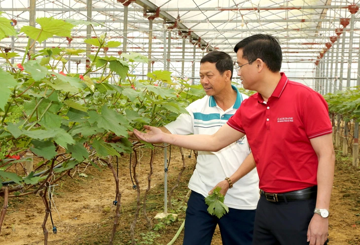 Đồng vốn Agribank - động lực cho khởi nghiệp thành công