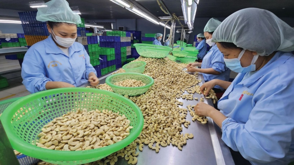 doanh nghiệp Việt Nam cần tập trung vào việc nâng cao chất lượng sản phẩm và đổi mới công nghệ sản xuất