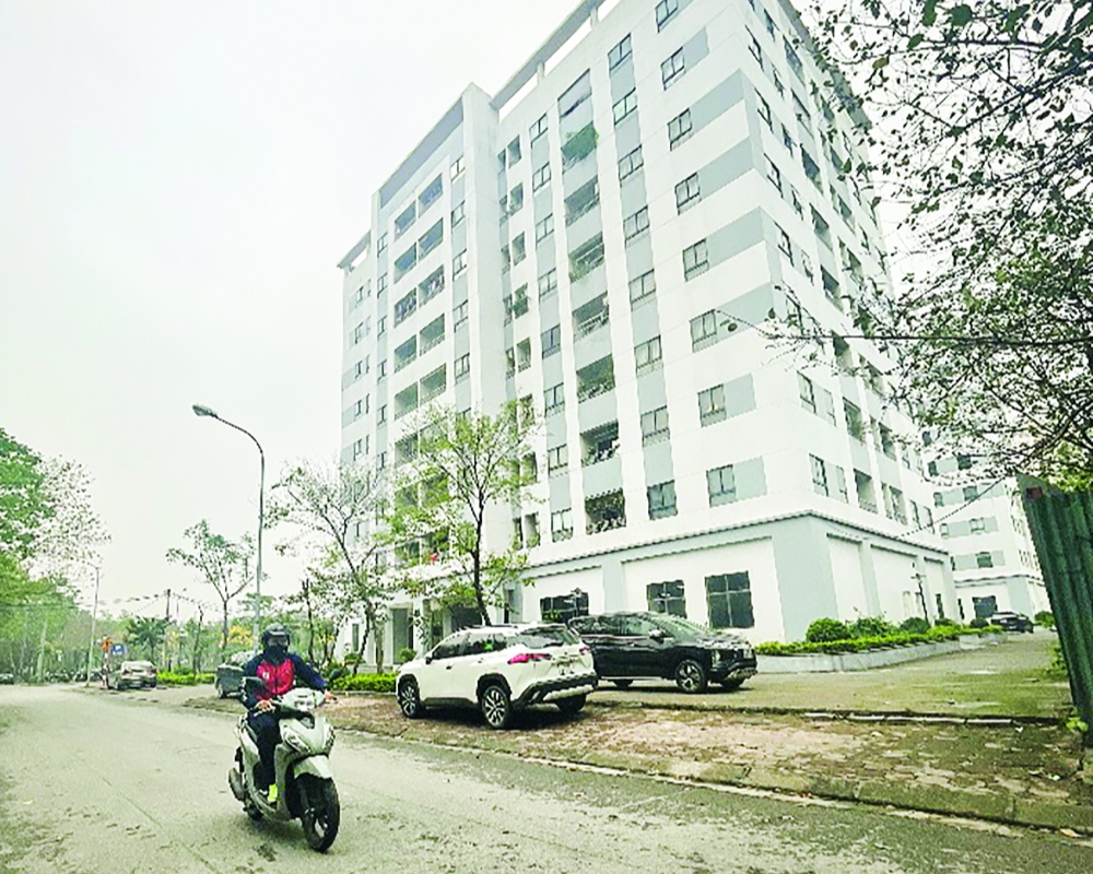 Nguồn cung về nhà ở xã hội hạn chế trong khi nhu cầu của người dân về loại hình nhà ở này rất lớn