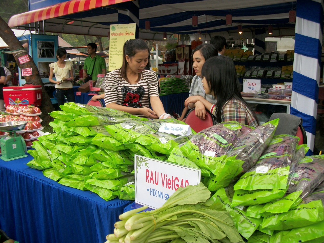 tay ninh to chuc ket noi doanh nghiep dau tu nong nghiep cong nghiep cao