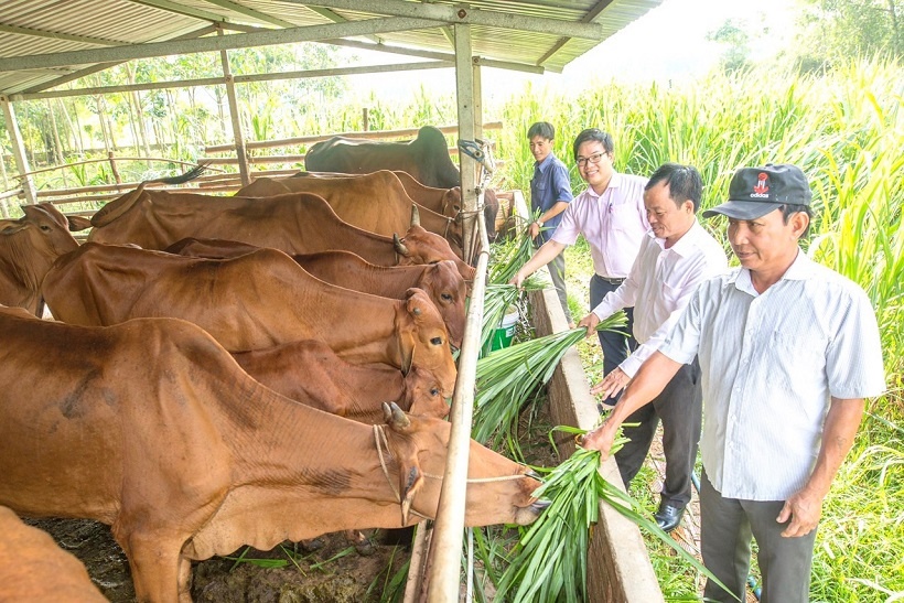 ngan hang chinh sach xa hoi binh duong no luc tren hanh trinh giup dan lam giau