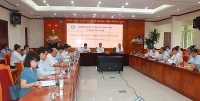 Đẩy nhanh việc tái đàn lợn một cách bền vững