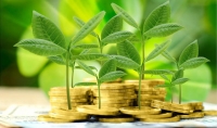 Ngân hàng Phát triển Việt Nam tăng tốc trên hành trình "xanh hoá"