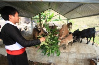 Đối tượng được vay vốn hộ sản xuất kinh doanh vùng khó khăn