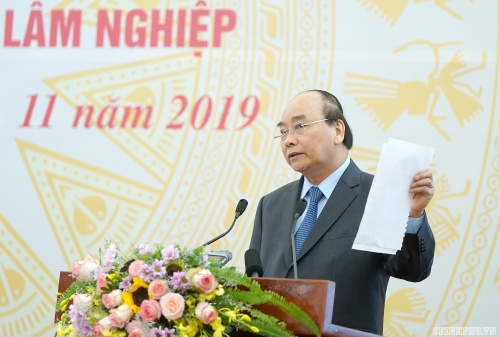Thủ tướng giao Ủy ban Quản lý vốn Nhà nước đánh giá các tổng công ty lâm nghiệp