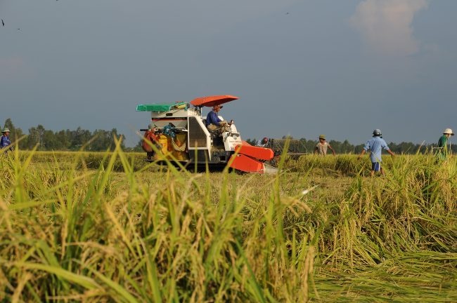 can nhieu giai phap de duy tri mach mau kinh te vung dong bang song cuu long