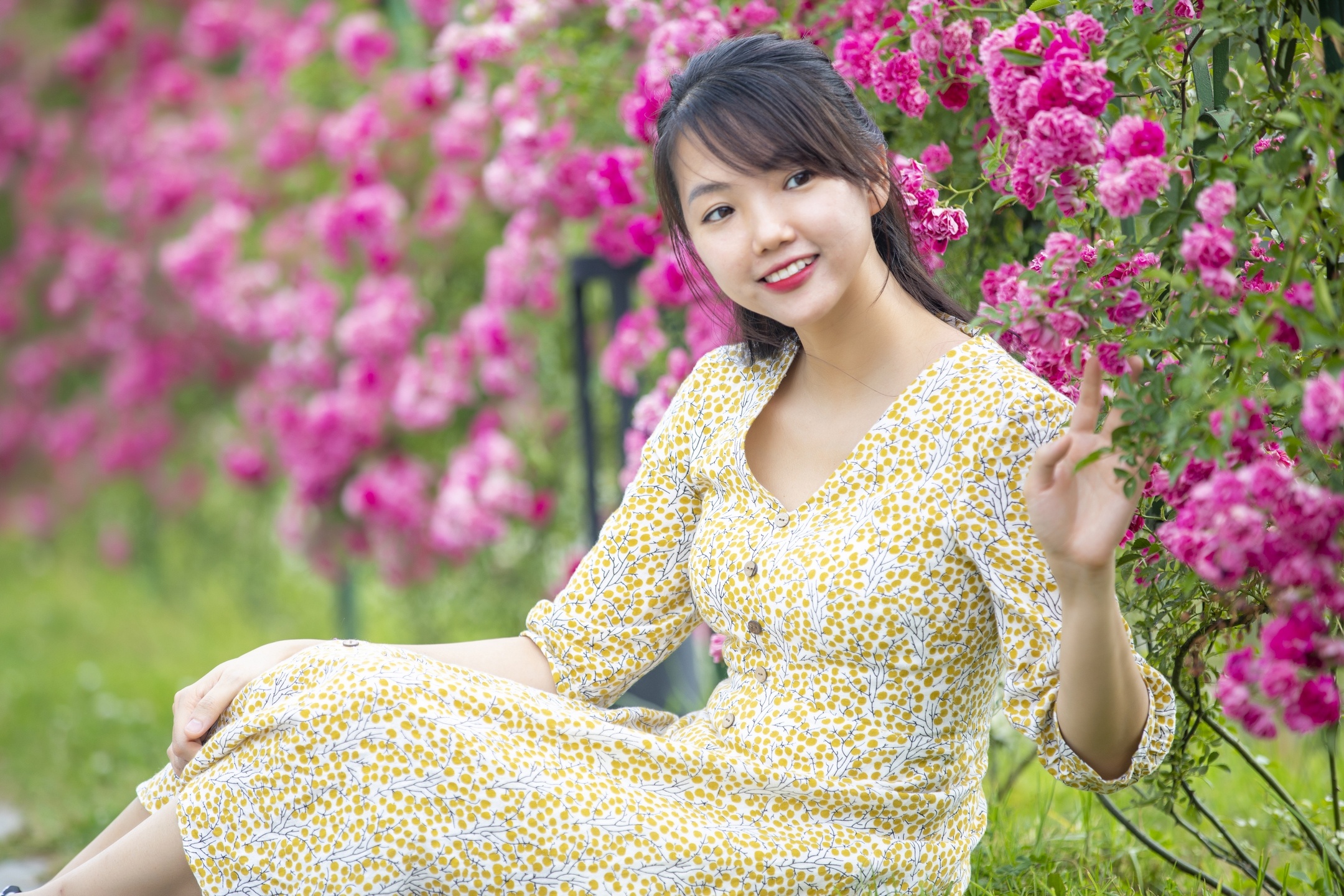 sun world fansipan legend giam gia ve cap treo toi hon 70 cho nguoi dan tay bac