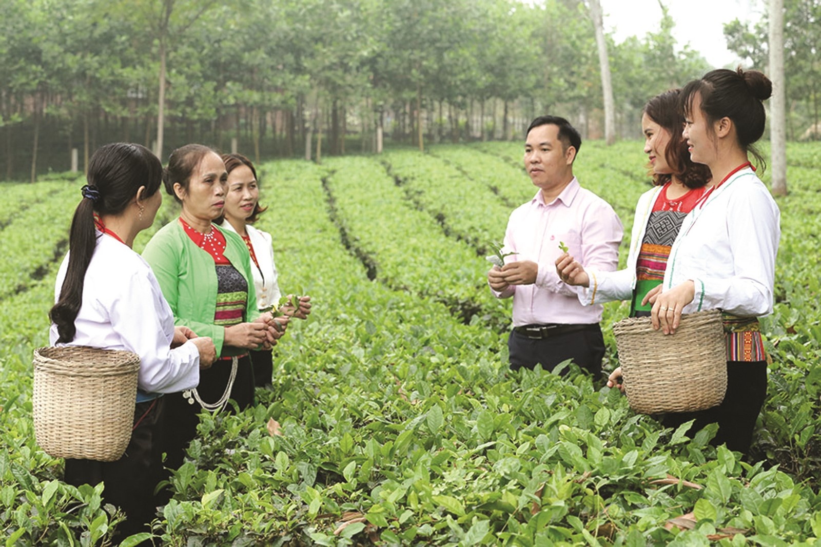 Mang mùa xuân yêu thương đến với người nghèo Thủ đô mang mua xuan yeu thuong den voi nguoi ngheo thu do