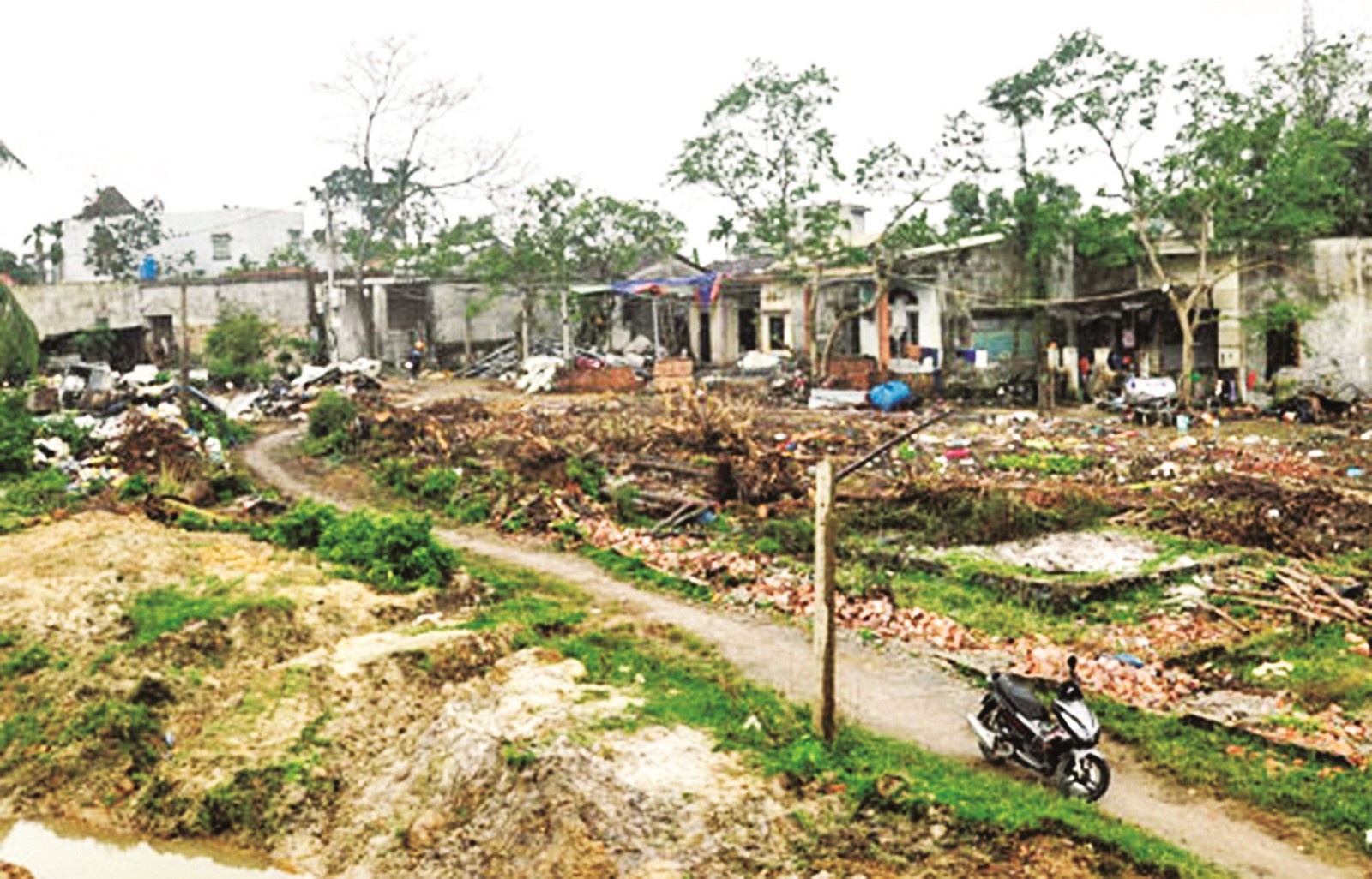 quyet liet hon trong giai phong mat bang