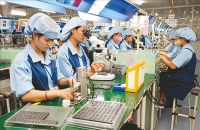 Thuế tối thiểu toàn cầu cần cơ chế “giảm xóc”