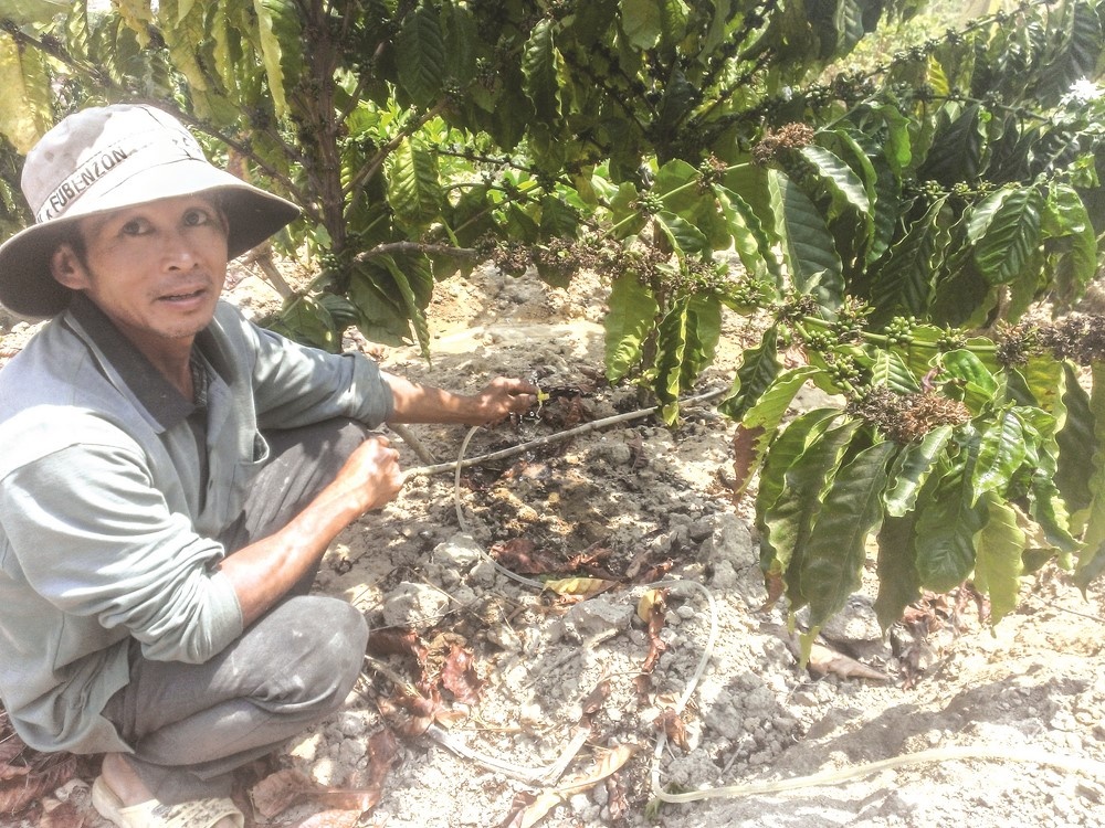 Người dân Kon Tum khổ vì nắng hạn