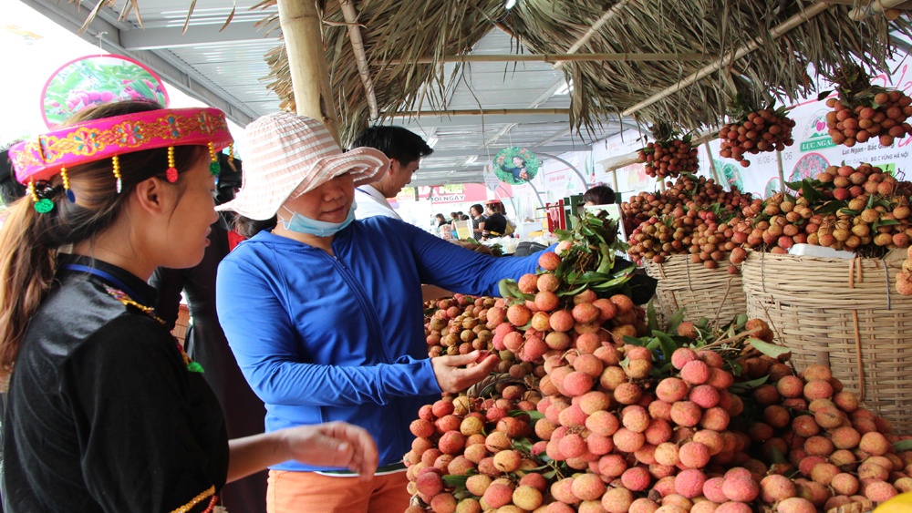 san pham dau tien cua viet nam duoc bao ho chi dan dia ly tai nhat