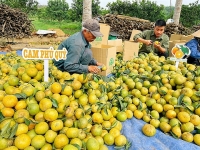 Thêm lối ra cho nông sản Việt