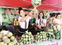 Hỗ trợ Sơn La tiêu thụ xoài, nhãn