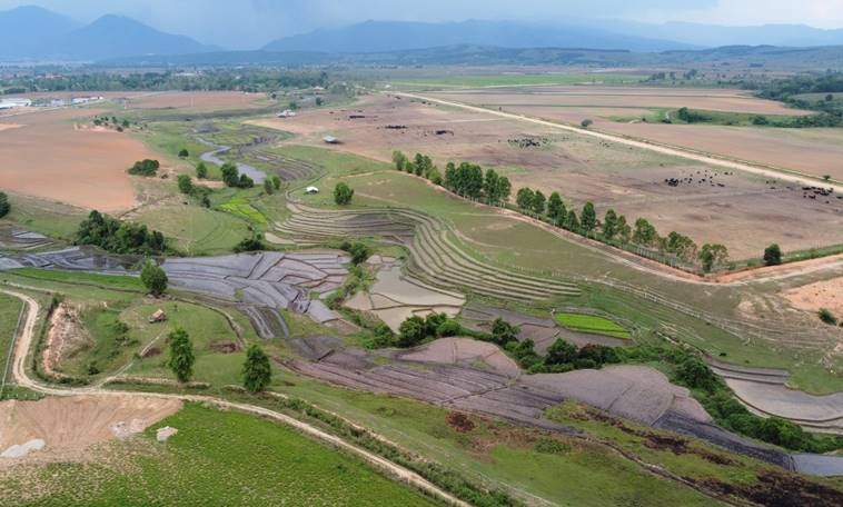 dan bo 8000 con dau tien tai to hop trang trai cua vinamilk tai lao se cho sua vao dau nam 2022