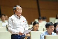 Các đại biểu Quốc hội thống nhất cần kéo dài Nghị quyết 42