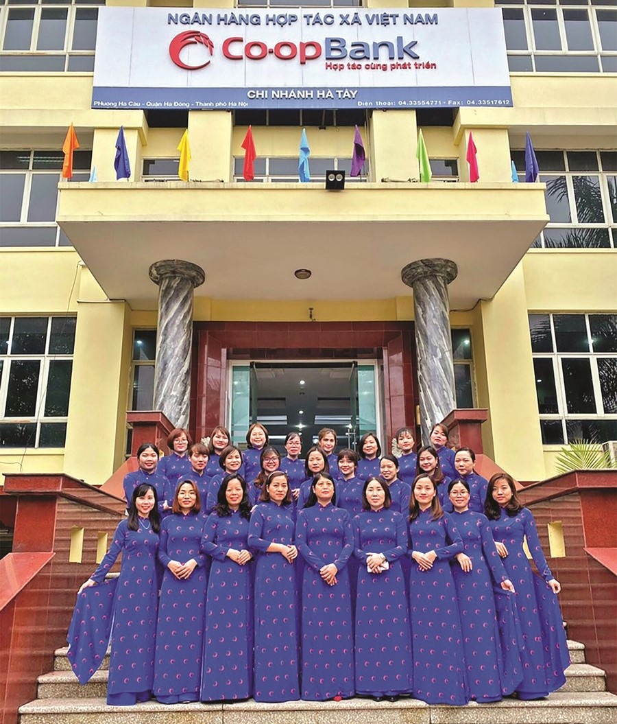 ngan hang hop tac xa viet nam chi nhanh ha tay vung vang trong song gio