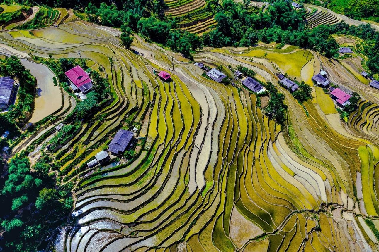 trien lam anh trung du mien nui phia bac tiem nang va co hoi