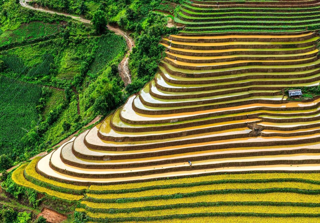 trien lam anh trung du mien nui phia bac tiem nang va co hoi