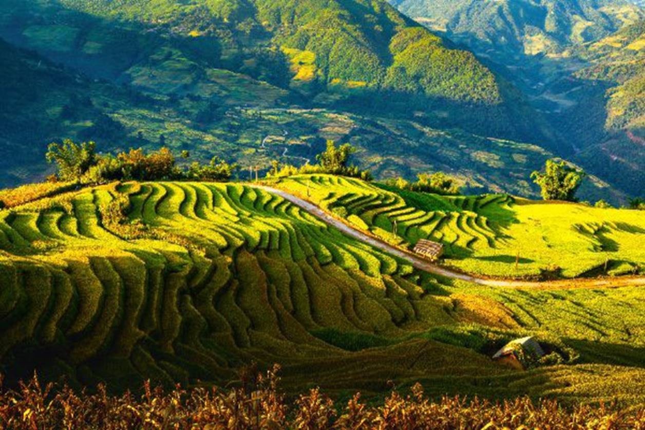 trien lam anh trung du mien nui phia bac tiem nang va co hoi
