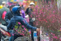Đề xuất 2 phương án nghỉ Tết Nguyên đán Mậu Tuất 2018