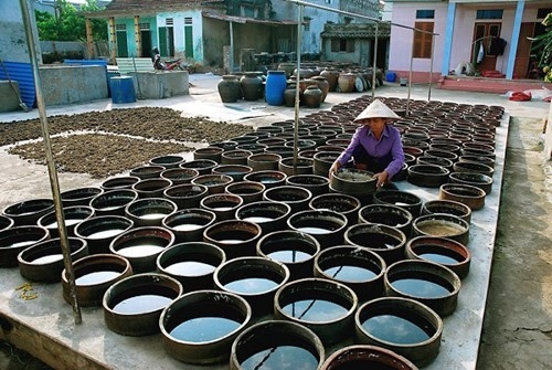 Tôn vinh làng nghề nước mắm Nam Ô