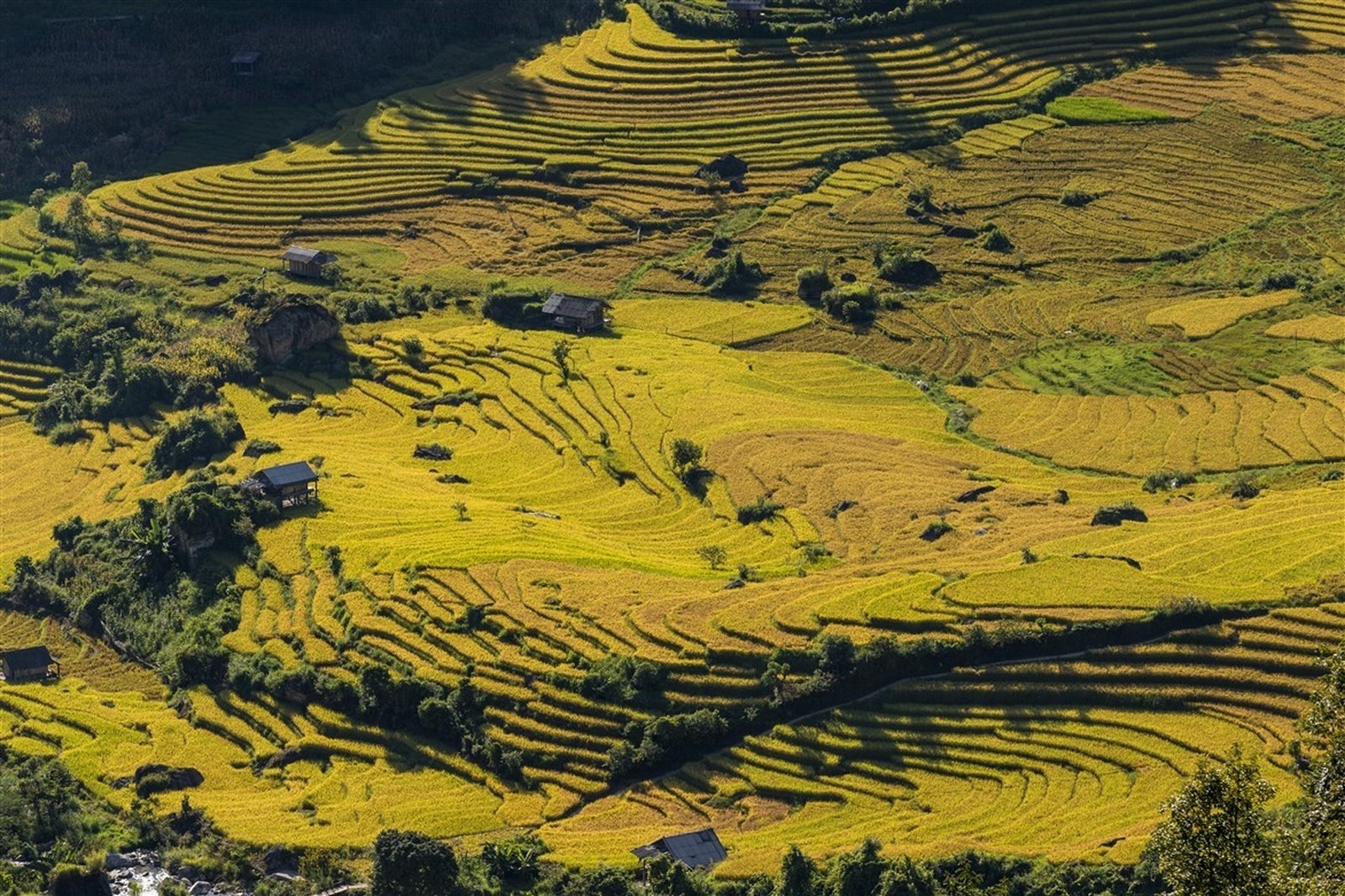 sa pa mua thu bo bua du khach