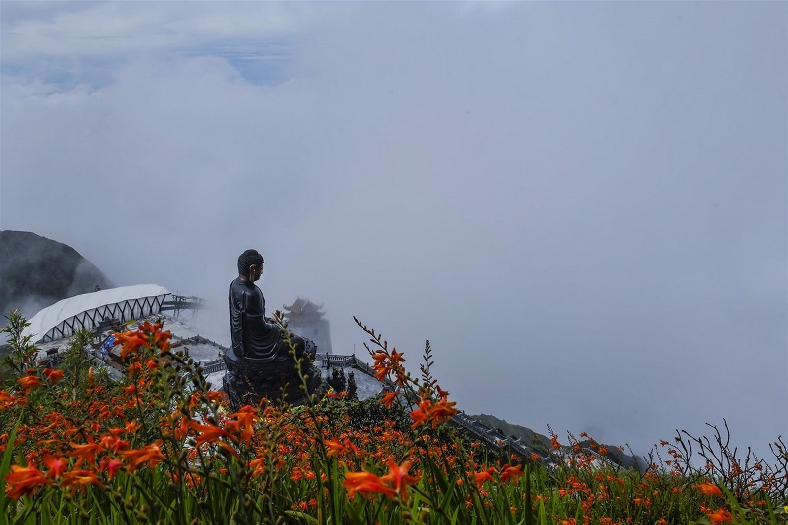sa pa mua thu bo bua du khach
