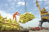 Cảnh báo từ thâm hụt thương mại