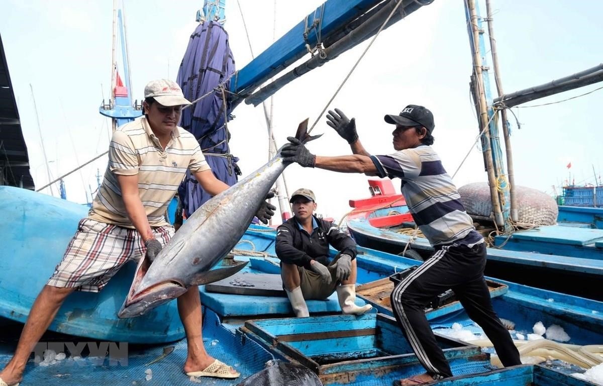 go the vang thuy san duong xa ganh nang