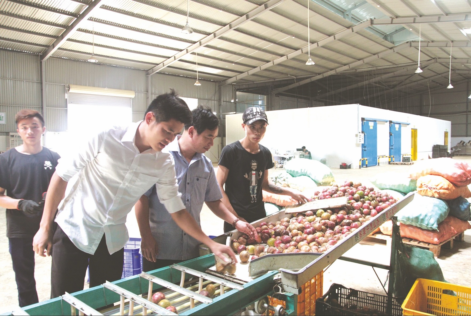 Gia cố động lực tăng trưởng kinh tế từ thị trường nội địa gia co dong luc tang truong o thi truong noi dia