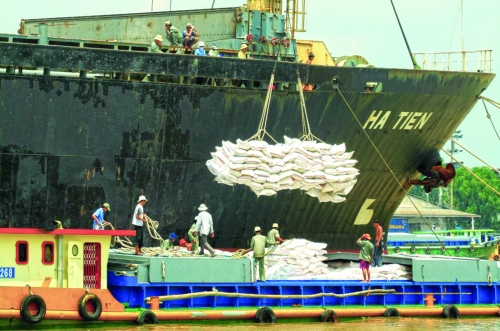 Sức mạnh dòng tiền vào cổ phiếu cảng biển