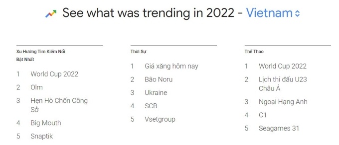 nguoi viet tim kiem gi tren google 2022