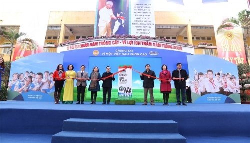 Hà Nội bắt đầu cho học sinh uống sữa học đường