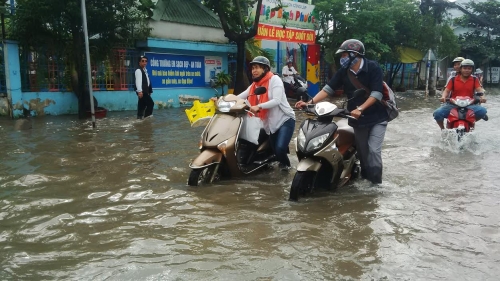 TP.HCM: Nâng cấp, tu sửa hơn 40 công trình ngăn triều cường, chống ngập