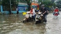 TP.HCM: Nâng cấp, tu sửa hơn 40 công trình ngăn triều cường, chống ngập