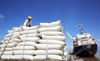 Bộ Tài chính đề nghị điều tra, xác minh thông tin tiêu cực trong hoạt động xuất khẩu gạo
