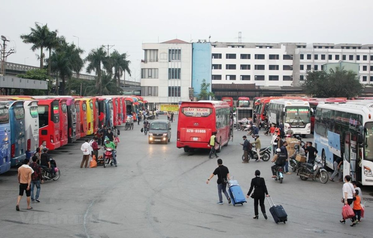 gia xang dau tang nhay vot da tac dong den cuoc van tai ra sao