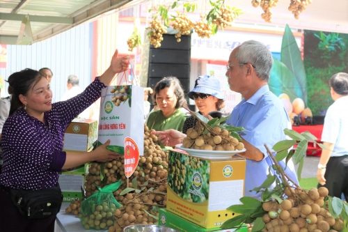 Nhãn lồng Hưng Yên chính thức có mặt tại siêu thị Big C