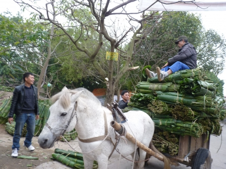 Hối hả làng bánh chưng: Ngon từ tấm lá ngon đi