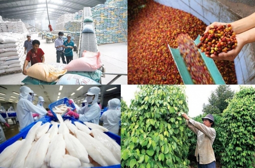 Tìm hướng đi cho ngành chế biến nông, thủy sản