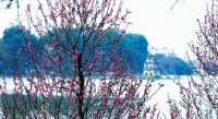 Việt Nam, niềm tin và hy vọng