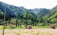 Người Pu Péo và lời thề giữ rừng