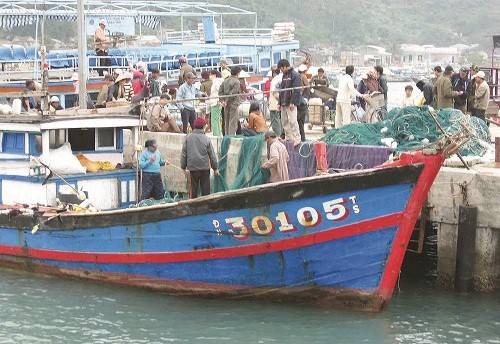 Xăng dầu giảm giá, ngư dân bớt lo