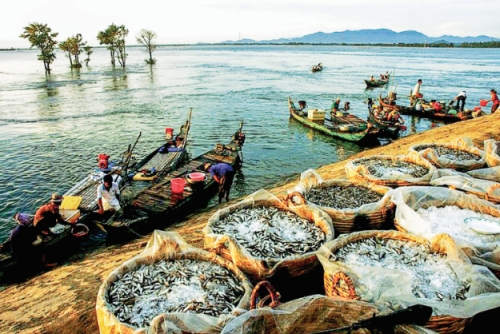 Miền Tây - mùa nước nổi lại về
